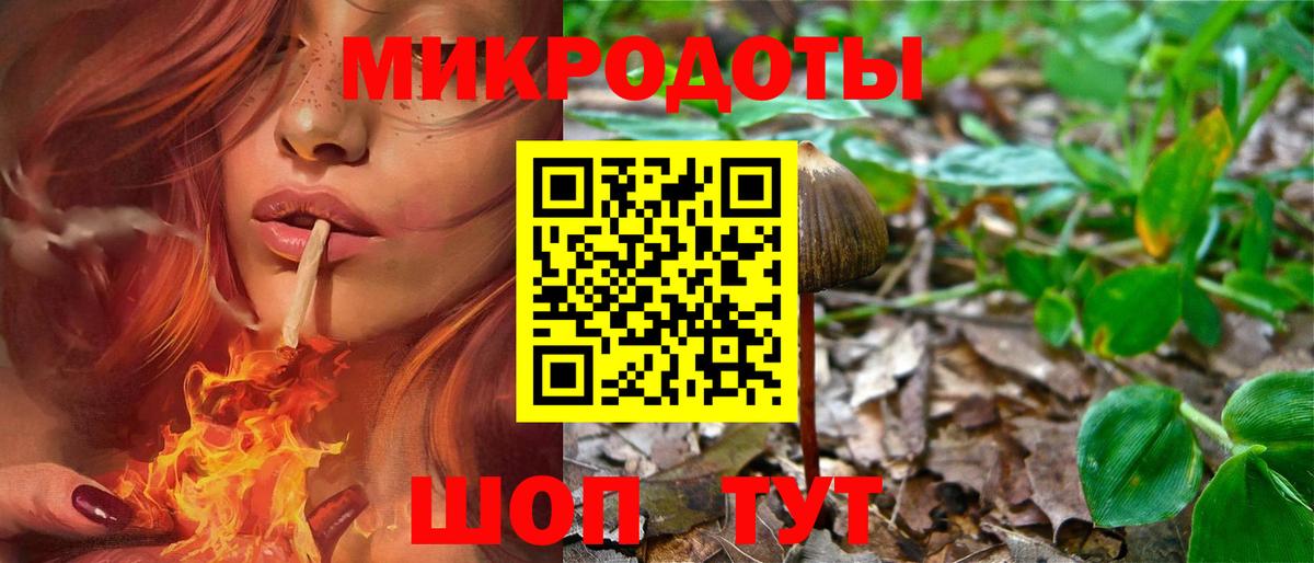 Псилоцибиновые грибы мицелий Карталы