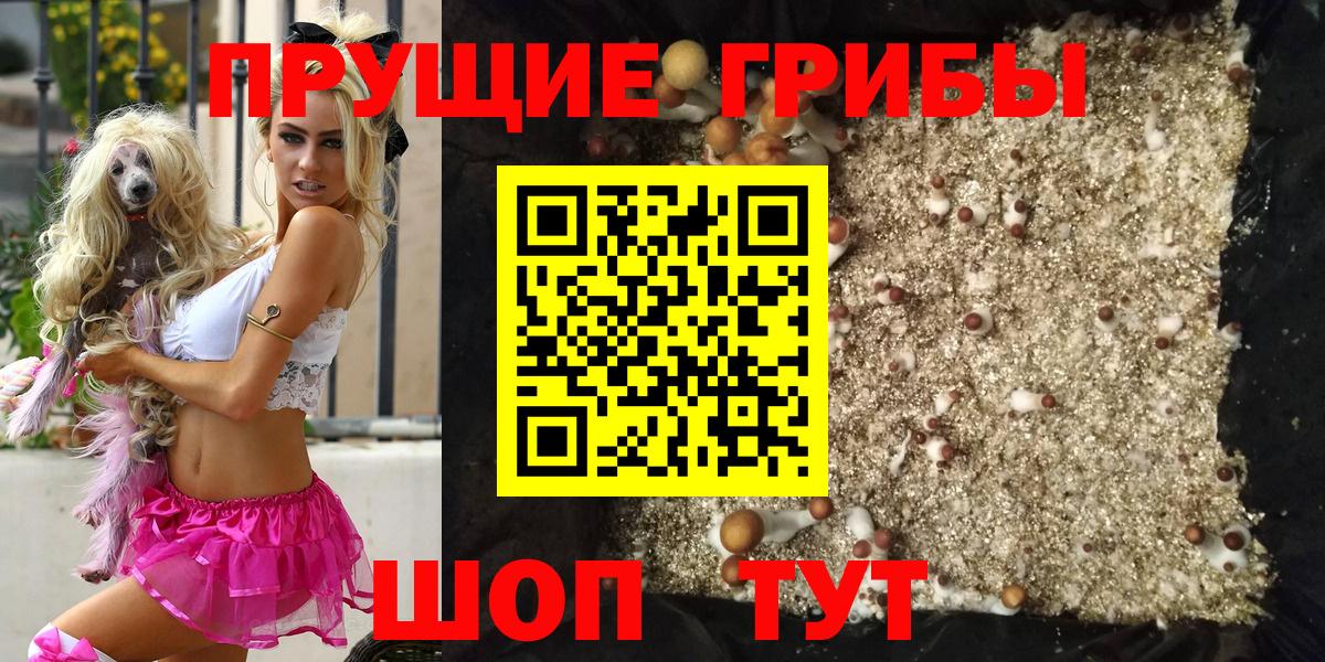 где купить   Вход с VPN  Карталы  Галлюциногенные грибы MAGIC MUSHROOMS  Псилоцибиновые грибы Cubensis 